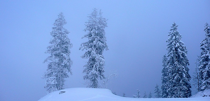 #3 Au creux de la neige : Le soleil n Au creux de la neige : Le soleil n'est pas loin au-dessus ...