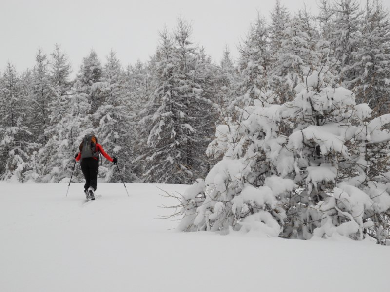 #3 sous braissier sous braissier