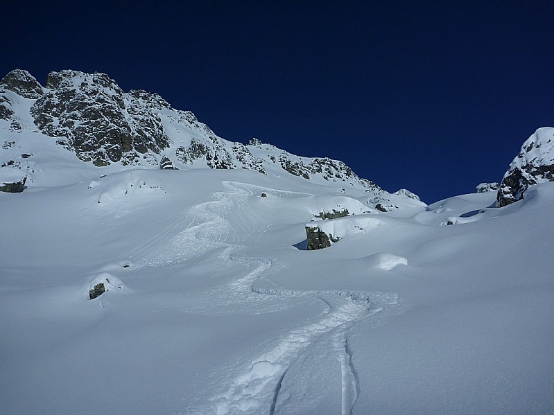 #4 aigleton : du coton bien moelleux ! aigleton : du coton bien moelleux !