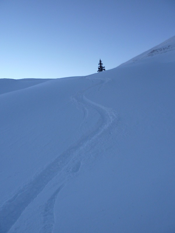 #3 descente : Plus beaucoup de lumière, mais de bons passages en poudreuse. descente : Plus beaucoup de lumière, mais de bons passages en poudreuse.