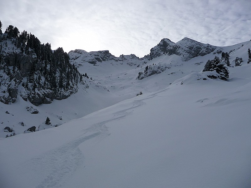 Descente : Bon ski !!!