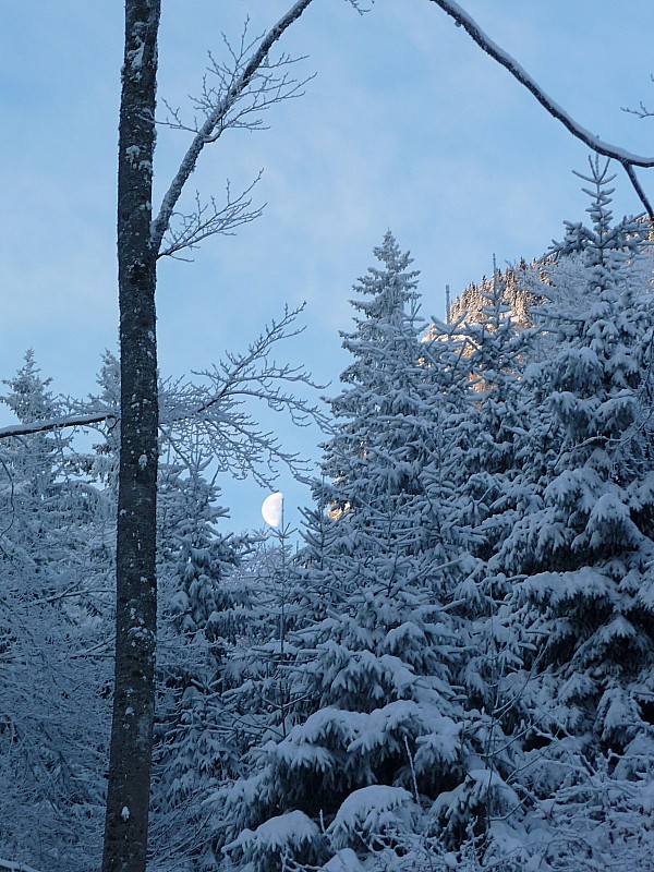 Lune : Belle ambiance