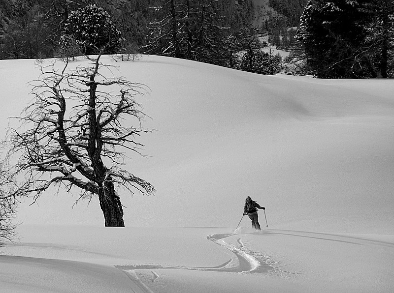 #7 Laisser filer les skis Laisser filer les skis