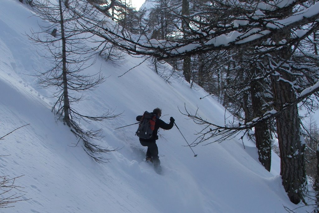 #5 Mélèzin de Fontouse : (photo PJL) Mélèzin de Fontouse : (photo PJL)