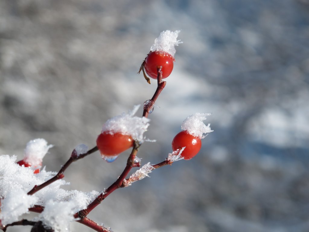 #1 Ca gratte : Au départ, la météo est plutôt clémente Ca gratte : Au départ, la météo est plutôt clémente