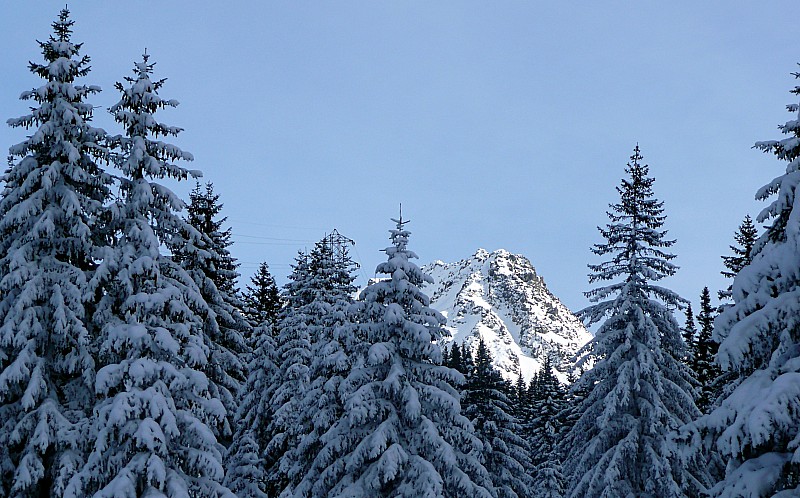 #11 A l A l'abri du soleil : Descente sous le Habert d'Aiguebelle, la neige ne se transforme pas dans ce coin !