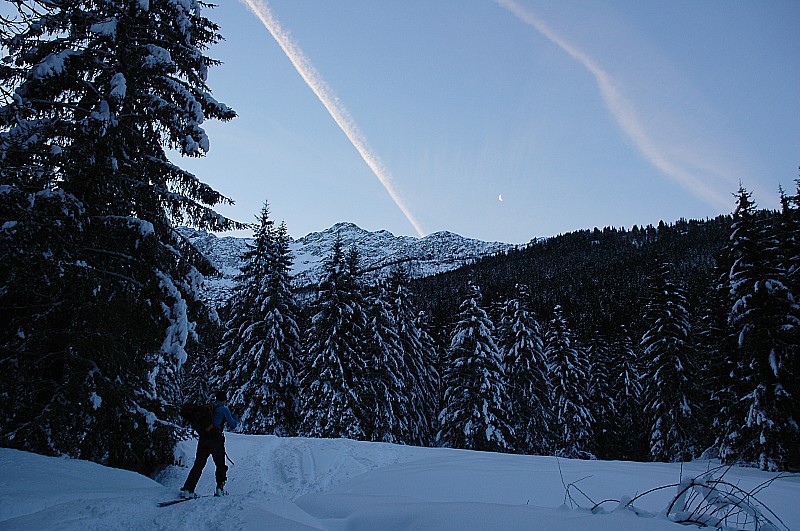 #1 Et c Et c'est parti ! : Les beaux sapins...