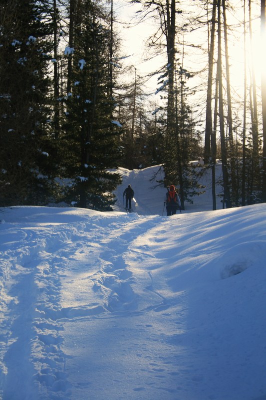 #3 Dans la forêt de Fontantie : merci aux trappeurs! Dans la forêt de Fontantie : merci aux trappeurs!