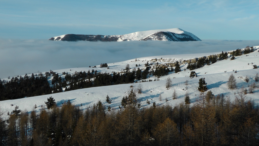 #3 Le Puy de Rent emmerge au dessus de la mer de nuages Le Puy de Rent emmerge au dessus de la mer de nuages