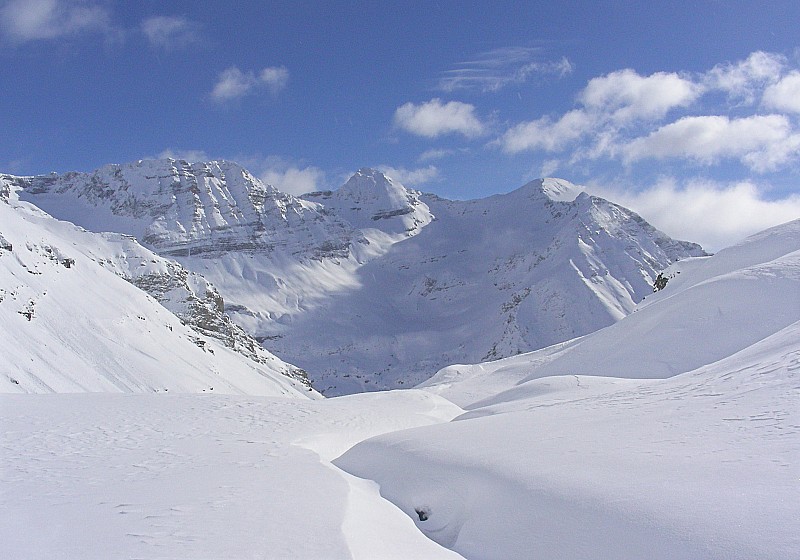 #7 Piniers : Idem - belle ambiance hivernale Piniers : Idem - belle ambiance hivernale