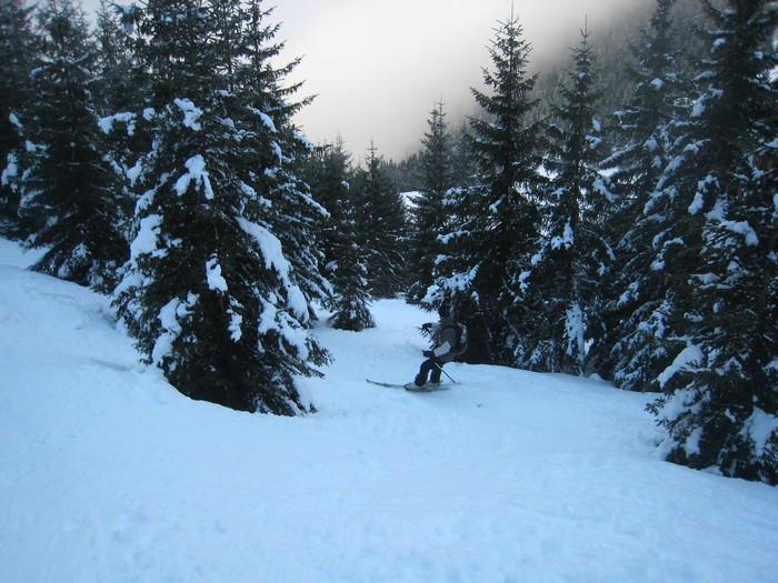 #12 Retour tranquille : Bon ski dans la forêt Retour tranquille : Bon ski dans la forêt