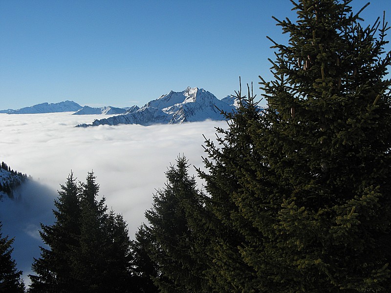 #3 Mer de nuage Mer de nuage