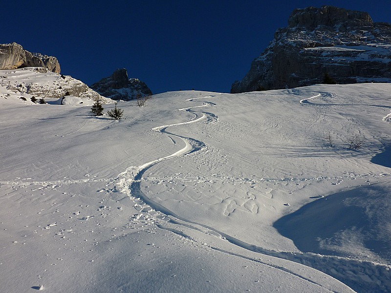 #7 Combe du Charvet : Poudreuse Combe du Charvet : Poudreuse