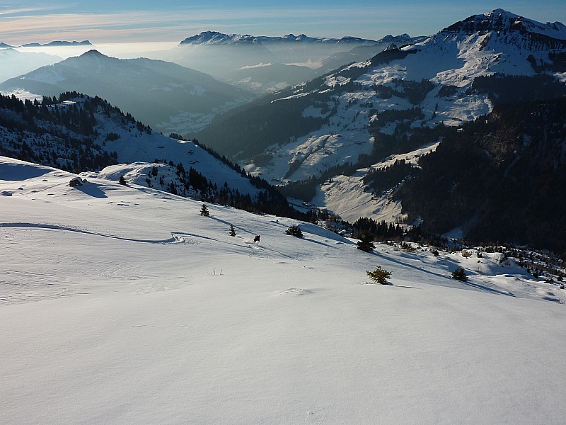 #6 Combe du Charvet : Poudreuse Combe du Charvet : Poudreuse