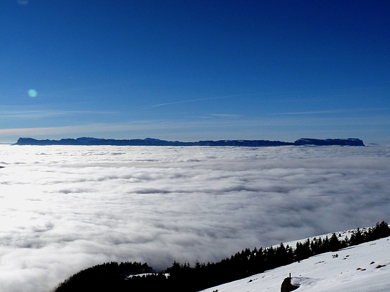 #9 Mer de nuage : et l Mer de nuage : et l'ile de la Chartreuse.