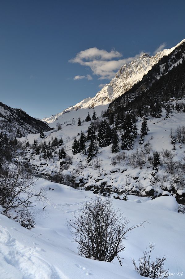 #6 direction les Prioux : avec la face Est de l direction les Prioux : avec la face Est de l'aiguille des Corneillets