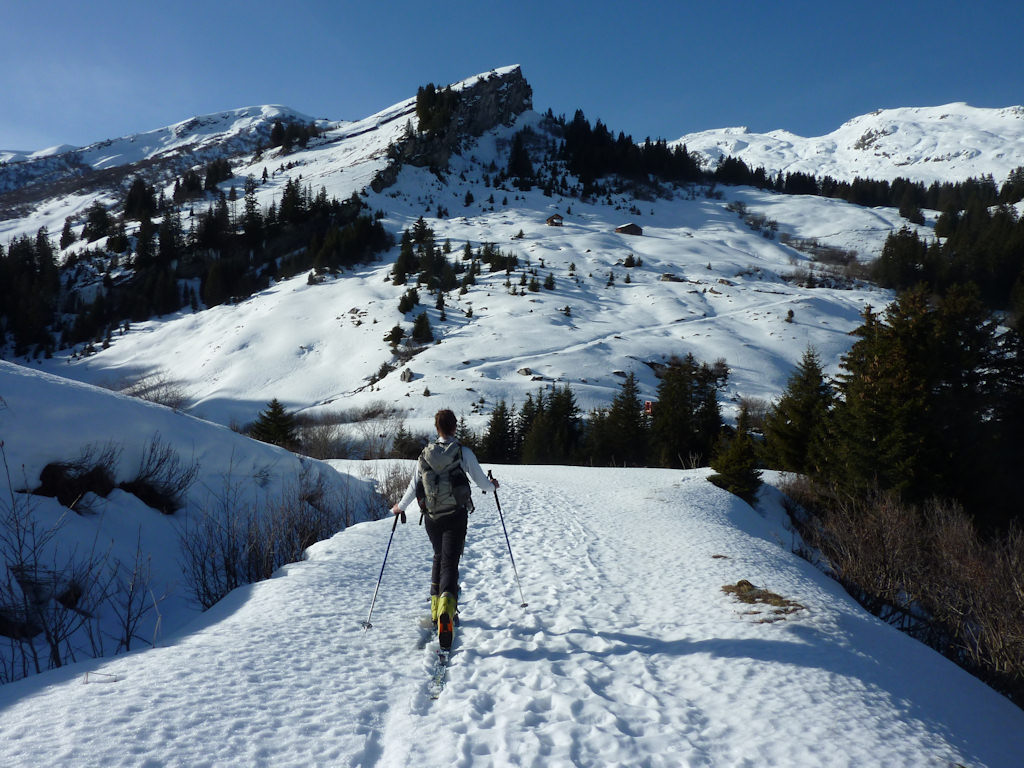 #1 Du Darbelay : Descente au pied des pentes qui conduisent à Riondet. Du Darbelay : Descente au pied des pentes qui conduisent à Riondet.