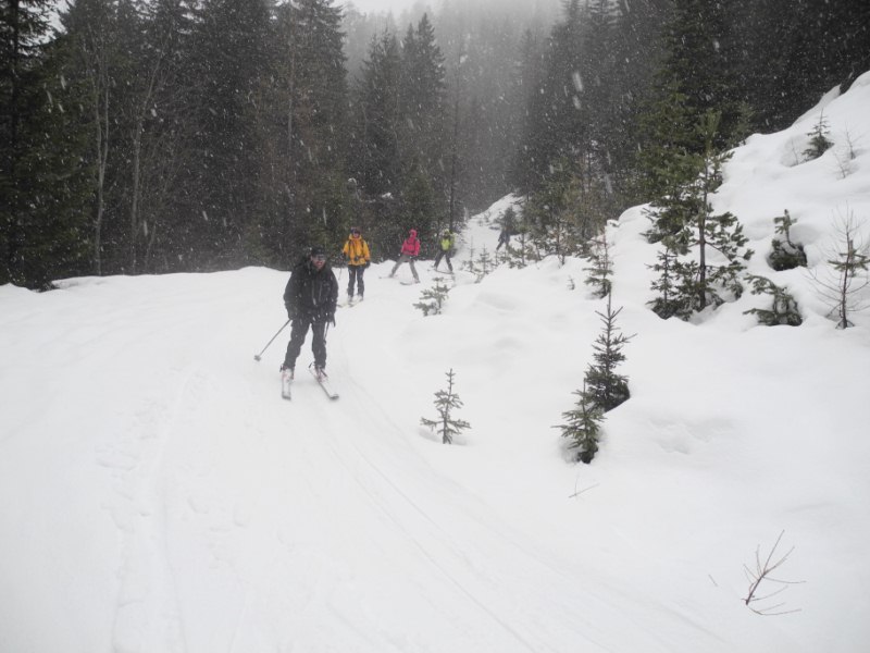 #5 route de salese : ça y est il neige bien mais c est trés humide route de salese : ça y est il neige bien mais c est trés humide