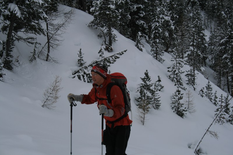#2 Dans la forêt : ça monte tranquille Dans la forêt : ça monte tranquille