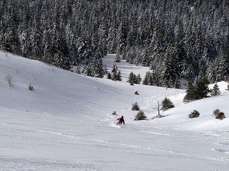 #8 Combe des Salières : Gui se régale dans une neige de rêve. Combe des Salières : Gui se régale dans une neige de rêve.