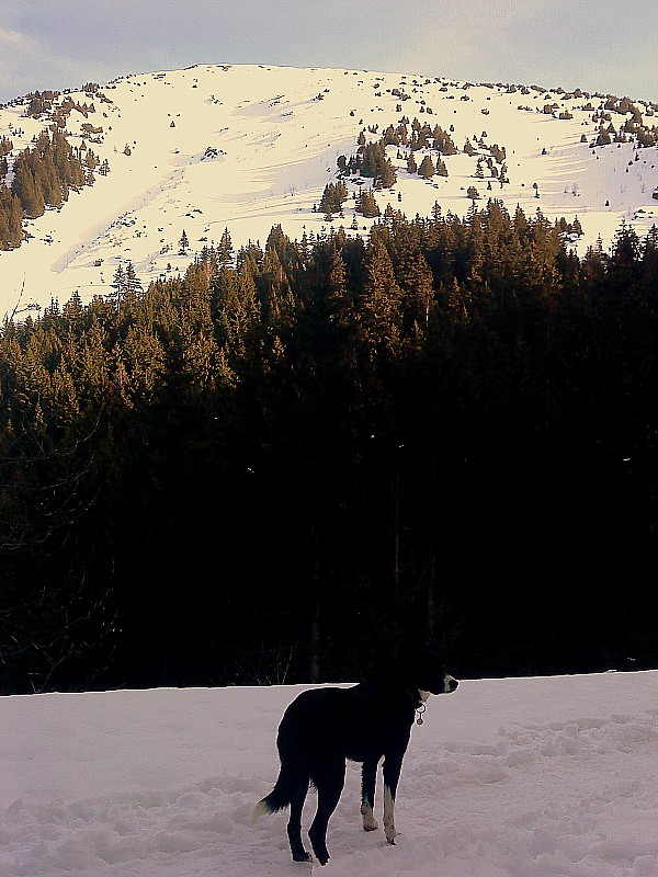 #21 Croix Pinelli : la Combe Oursière ,vue depuis la route Croix Pinelli : la Combe Oursière ,vue depuis la route