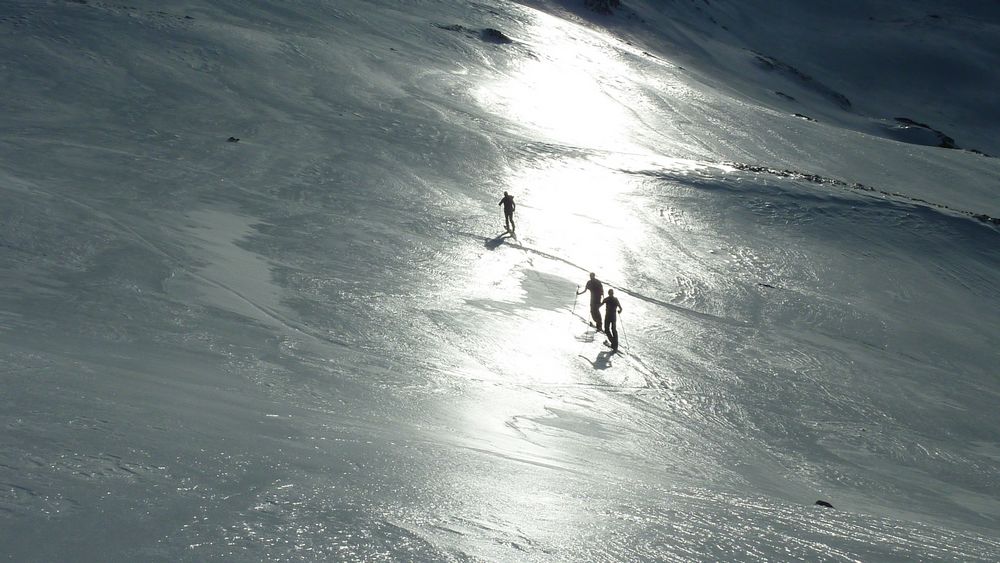 #2 Vitre : il a plu sur le Taillefer jusqu Vitre : il a plu sur le Taillefer jusqu'à 2600m. 3 jeunes faons bravent la glace !!