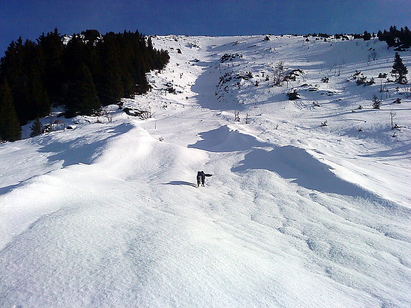 #20 Croix Pinelli : La Combe Oursière ,une belle alternative de déscente pas fréquenter Croix Pinelli : La Combe Oursière ,une belle alternative de déscente pas fréquenter