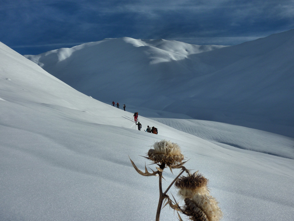 #3 Le chardon devant Combe Bénite : Qui s Le chardon devant Combe Bénite : Qui s'y frotte, s'y pique
Un signe prémonitoire...