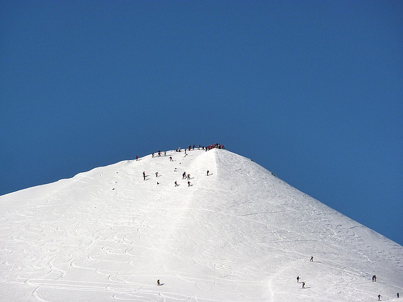 #8 Fourmis : ça a des airs de Grand Mont d Fourmis : ça a des airs de Grand Mont d'Arêches le jour de la Pierra Menta!