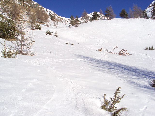 #17 malaterre : vallon de douans malaterre : vallon de douans