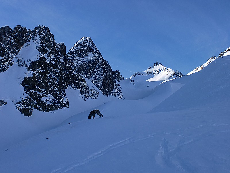 #5 La selle en vue : Toute cette partie est gelée/glacée et il faut avoir ses couteaux si on ne veut pas redescendre le vallon sans le vouloir ;-) La selle en vue : Toute cette partie est gelée/glacée et il faut avoir ses couteaux si on ne veut pas redescendre le vallon sans le vouloir ;-)