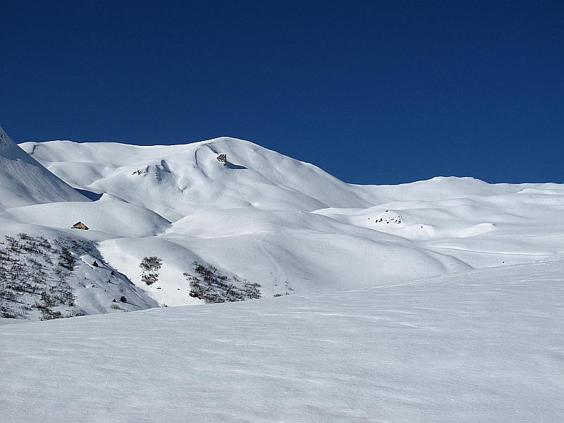 #4 Tout blanc... : ...mais ca croute... Tout blanc... : ...mais ca croute...