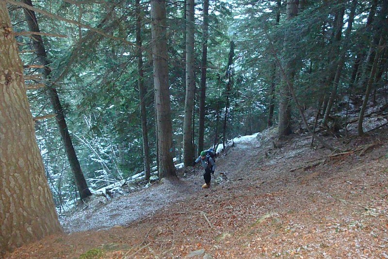 #1 Forêt : Sec avec passages en glace Forêt : Sec avec passages en glace