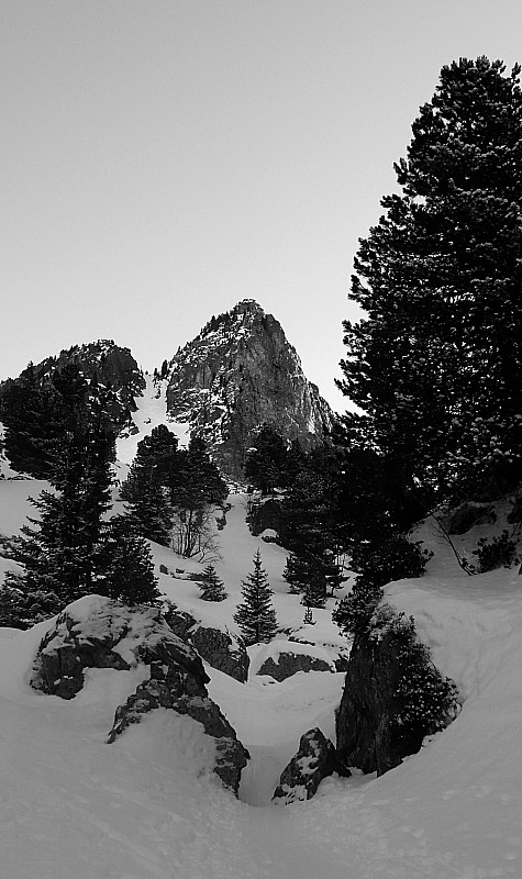 #1 Essai en noir & blanc ... : Au frais au-dessus du Lac des Pourettes Essai en noir & blanc ... : Au frais au-dessus du Lac des Pourettes