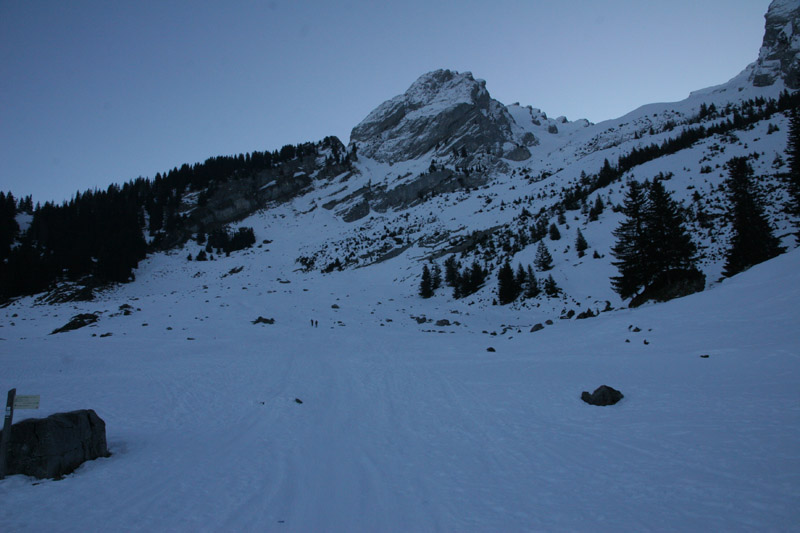 #1 la combe du Grand Crêt : ça manque de neige ! la combe du Grand Crêt : ça manque de neige !