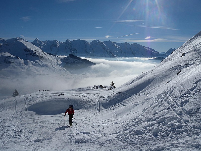 #1 Montée au soleil : Après le congélateur de la veille, ça fait du bien de monter sans se geler ! Montée au soleil : Après le congélateur de la veille, ça fait du bien de monter sans se geler !