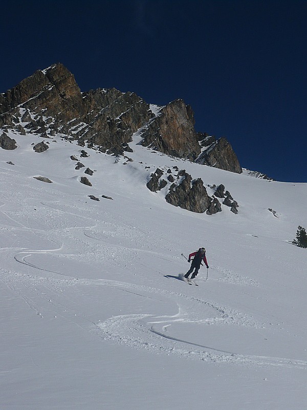 #10 soleil : Une petite dernière sud-ouest avant de passer à l soleil : Une petite dernière sud-ouest avant de passer à l'ombre dans le bois