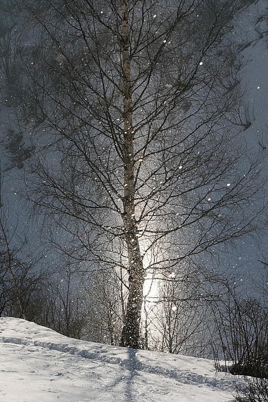 #1 Buisson ardent : L Buisson ardent : L'ange de Yahvé apparaît à Marc d'Orselle, lui révélant la puissance universelle des silvretta 404
