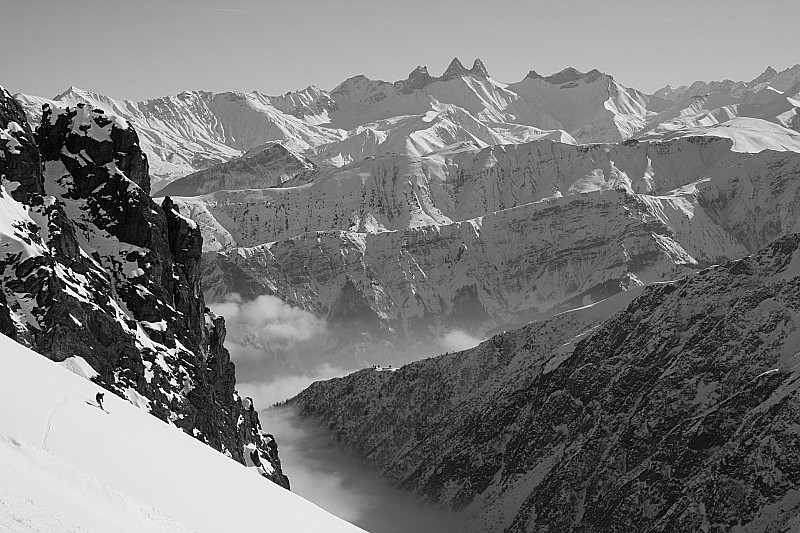 #5 French Connection : A la poursuite de Ben Ali et de l French Connection : A la poursuite de Ben Ali et de l'or perdu !