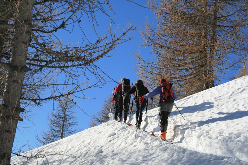 #2 Sous la cabane de Baoude : joli mélézin, ciel bleu, bonne neige; je me répète de jour en jour ... Sous la cabane de Baoude : joli mélézin, ciel bleu, bonne neige; je me répète de jour en jour ...