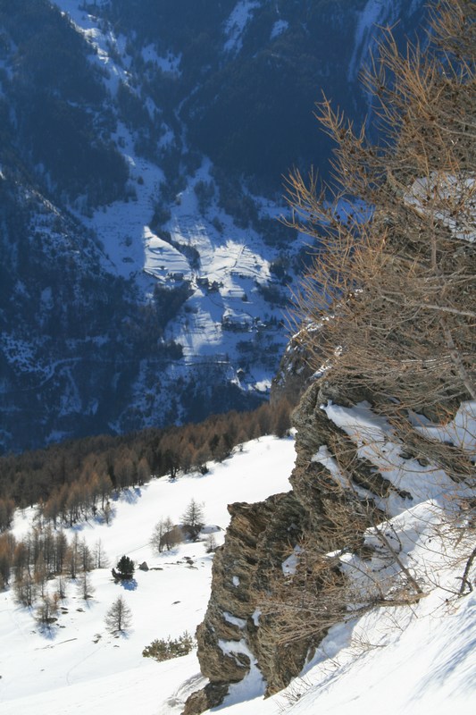 #7 Bramousse : profite de quelques rares instants de soleil. Bramousse : profite de quelques rares instants de soleil.
