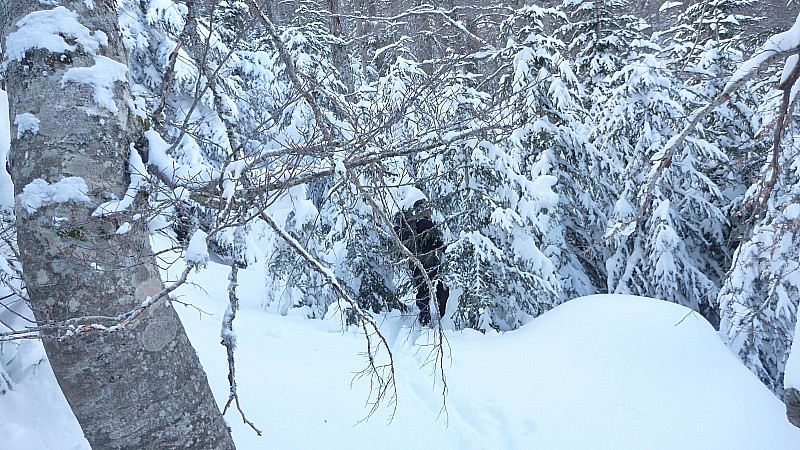 #8 font chier ces sapins : la peuf c font chier ces sapins : la peuf c'est bien mais pour faire la trace dans la pepiniere faut soit de la patience soit une sthill...