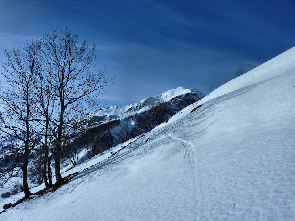 Mieux ici au soleil : Il a fallu quitter le fond du vallon pour avoir un peu de douceur.