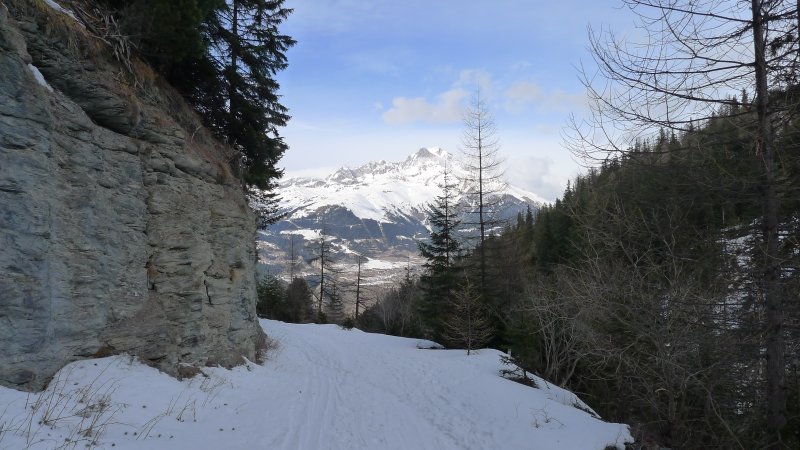#13 P P'tit overview : de la grande dame d'en face