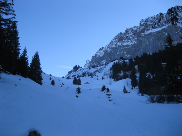 #1 le dèbut du vallon : On sort enfin de la forêt le dèbut du vallon : On sort enfin de la forêt