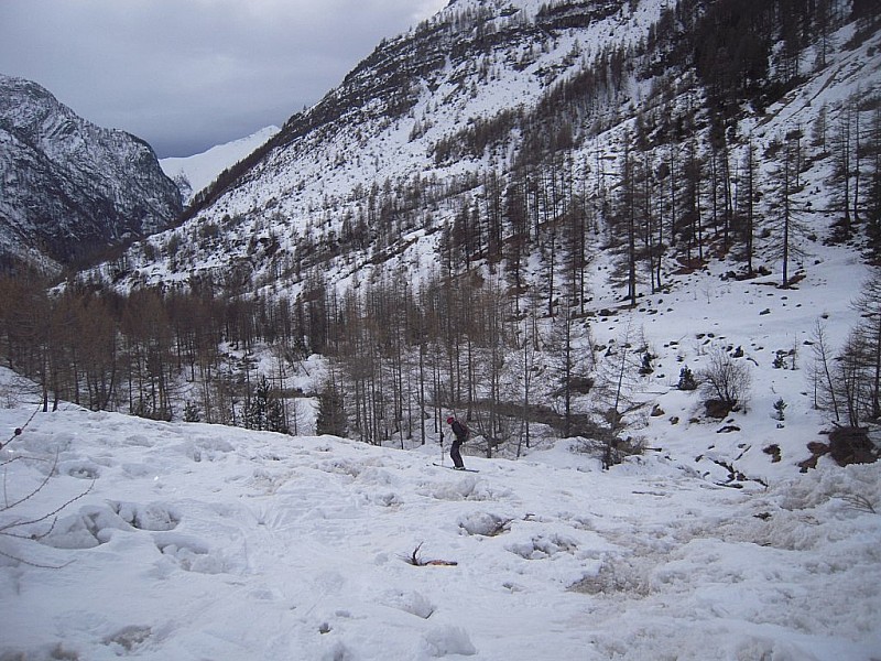 #6 dans les avalanches : la rive gauche est ravagée par les coulées dans les avalanches : la rive gauche est ravagée par les coulées