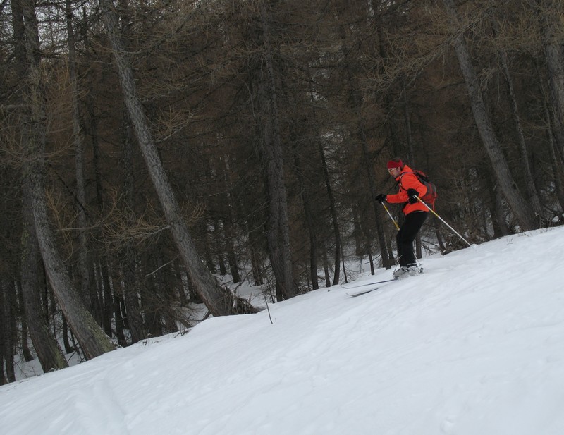 #4 Geux : bonne neige dans le mélezin Geux : bonne neige dans le mélezin