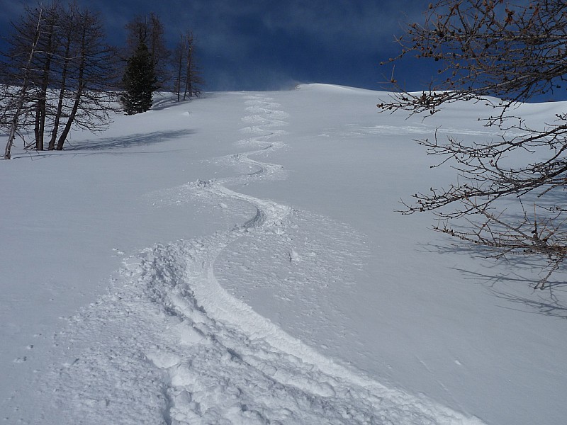 #3 pointe des Adus : De la poudre vierge qui vous remonte à la taille quand vous descendez c pointe des Adus : De la poudre vierge qui vous remonte à la taille quand vous descendez c'est à déguster sans modération!