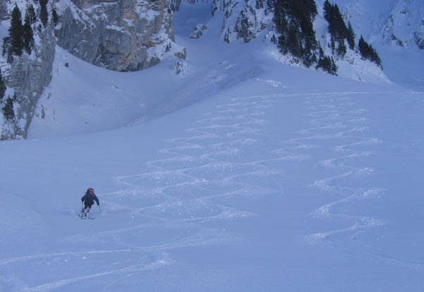 #3 Première descente : On ne résite pas à l Première descente : On ne résite pas à l'appel de la neige. Et comme ça on met les peaux au soleil !