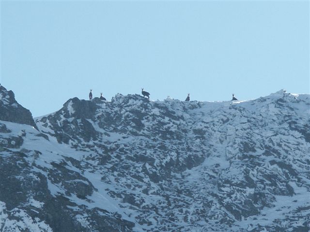 Grands Moulins : Spectateurs sur les crêtes